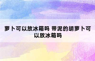 萝卜可以放冰箱吗 带泥的胡萝卜可以放冰箱吗